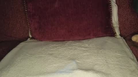 Snapshot of hisnotyours chatting on 02-15-26, 08:35 Grace online show from 02-15-26, 08:35