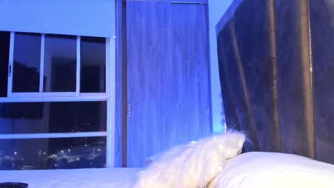 Mara online show from 02-11-25, 03:29