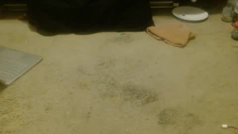 Holly Hawkes online show from 04-17-26, 12:30