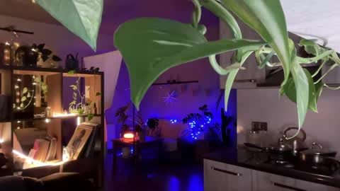 dori not holy get my tg channel with link from description under last photo online show from 04-20-26, 07:48