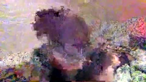 Snapshot of hometownwitch chatting on 11-25-25, 06:19 hometownwitch online show from 11-25-25, 06:19