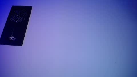 Honney online show from 02-14-25, 03:22