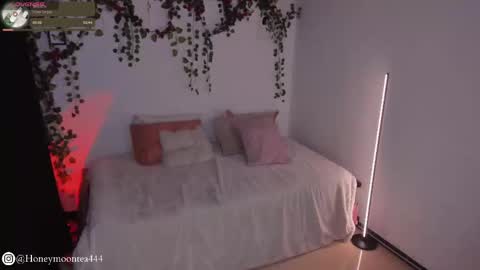 Snapshot of honeymoontea chatting on 02-24-25, 10:14       online show from 02-24-25, 10:14