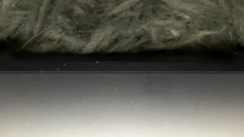 D online show from 02-23-26, 05:38