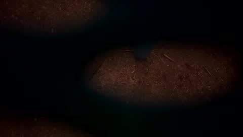 hopper_in_joyce online show from 03-02-25, 09:10