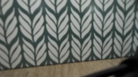 Jan online show from 01-04-25, 08:49