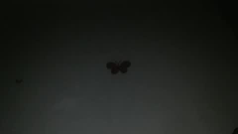 Iris online show from 02-27-26, 08:09