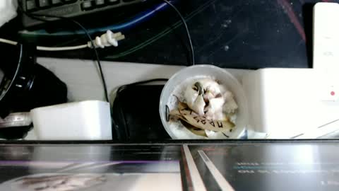 cum boy james online show from 06-13-26, 05:33