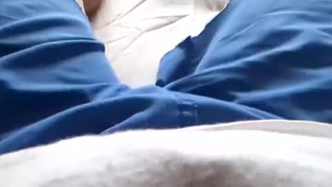 Tiny cock online show from 06-08-26, 11:27