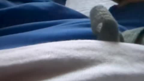 Tiny cock online show from 07-08-26, 01:32