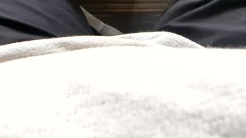 Tiny cock online show from 07-15-26, 11:37