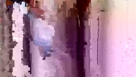 hornyebon9 online show from 10-13-25, 09:20