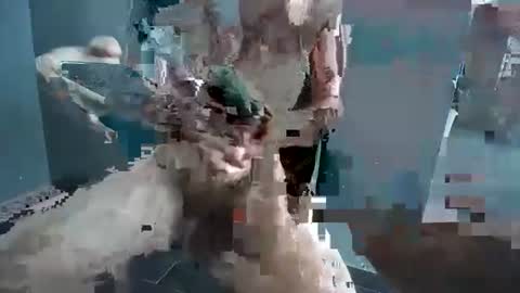 Hornyrippa online show from 12-22-24, 01:23