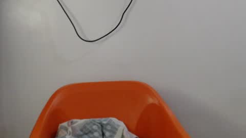 hornyxbum online show from 07-14-26, 10:21