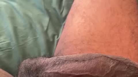 Bbc horsey online show from 02-11-26, 08:58