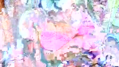 hot_baby_priya online show from 10-12-25, 04:50