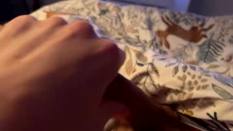 hot_for_you_ online show from 02-26-26, 02:10