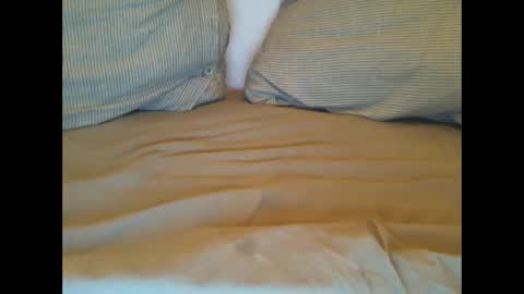 Lars online show from 03-01-25, 11:26