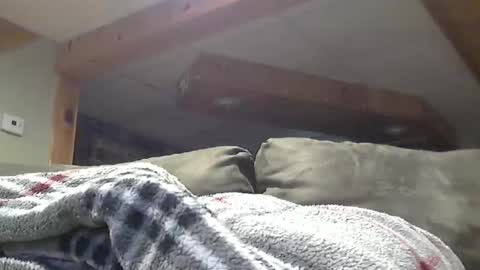 Snapshot of hotandhornyxxx1 chatting on 05-01-26, 08:46 Hot and Horny online show from 05-01-26, 08:46