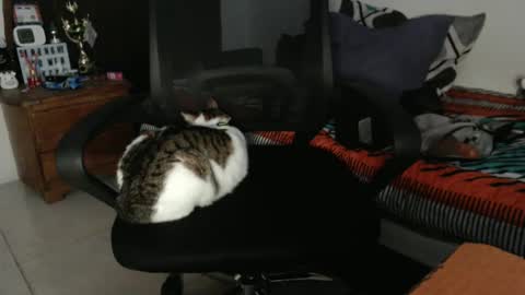 Hot and PowerHOPE U MISS ME online show from 12-21-24, 01:04