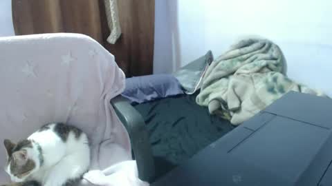 Hot and PowerHOPE U MISS ME online show from 11-14-25, 03:49