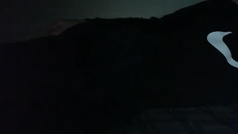 Bitch for abuse online show from 02-15-26, 09:33