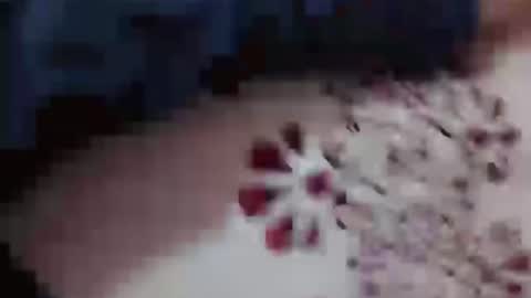 Hotcapolx online show from 11-23-25, 04:51