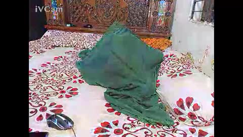 Hotcapolx online show from 11-24-25, 05:34