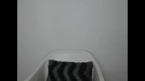 Snapshot of hotjessie0 chatting on 01-09-25, 04:30 hotjessie0 online show from 01-09-25, 04:30