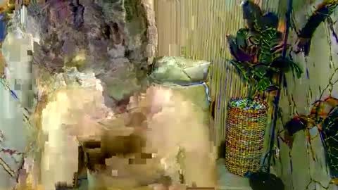 hottestloues online show from 04-26-26, 02:59