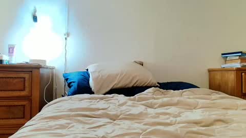 Lili Vixen online show from 02-04-25, 04:48