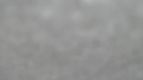 Snapshot of hourg chatting on 08-01-26, 04:23 Slutty little female cat online show from 08-01-26, 04:23