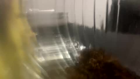 Snapshot of howarudoing chatting on 10-05-25, 01:59 howarudoing online show from 10-05-25, 01:59