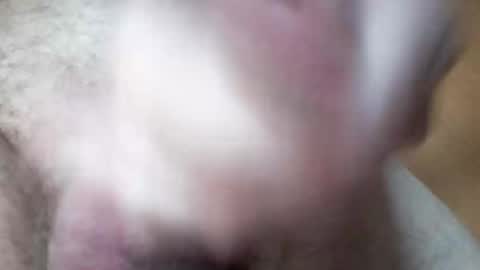 Snapshot of hrubesch2019 chatting on 10-26-25, 10:54 hrubesch2019 online show from 10-26-25, 10:54