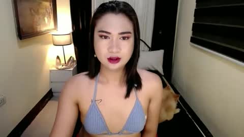 yesha fox online show from 04-24-26, 12:07