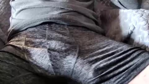 hugepecker131 online show from 12-18-25, 01:17