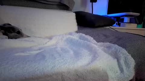 Hugo online show from 02-14-25, 08:26