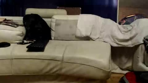 Snapshot of huippari chatting on 09-29-25, 12:32 huippari online show from 09-29-25, 12:32