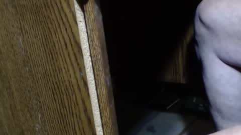 hungsofine online show from 12-15-24, 09:09