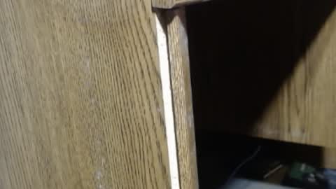 hungsofine online show from 12-18-24, 04:06