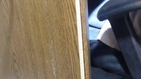 hungsofine online show from 01-13-25, 10:03