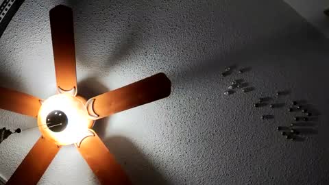 hungtxcock92 online show from 01-27-25, 05:58