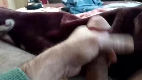 husky1511 online show from 11-11-25, 09:20