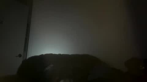 hustlemacc online show from 11-16-25, 02:11