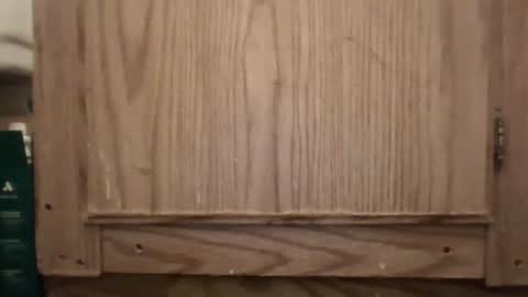 Snapshot of hybrid_lover419 chatting on 02-13-26, 05:36 Hybrid Lover419 online show from 02-13-26, 05:36