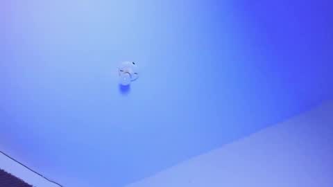 NAHO online show from 10-01-25, 03:12