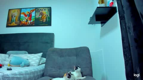 iam_your_fantasy online show from 02-01-26, 09:13