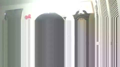 Snapshot of iamproprojectcandysugarbaby chatting on 09-13-25, 01:55 I LOVE MY COCONUT EAT MY COCONUTS online show from 09-13-25, 01:55