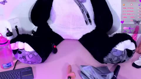 Snapshot of iamstephanie13 chatting on 01-23-25, 05:56 Steph - Online Again   - 1 DECEMBER online show from 01-23-25, 05:56