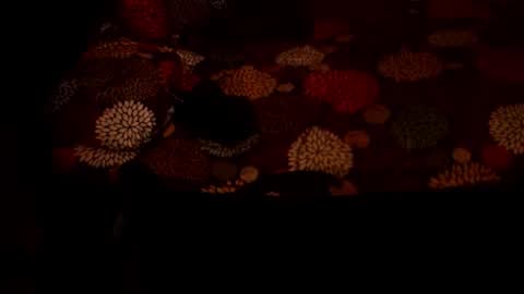 MADAM  MISTRESS ASIANA online show from 12-21-25, 04:25